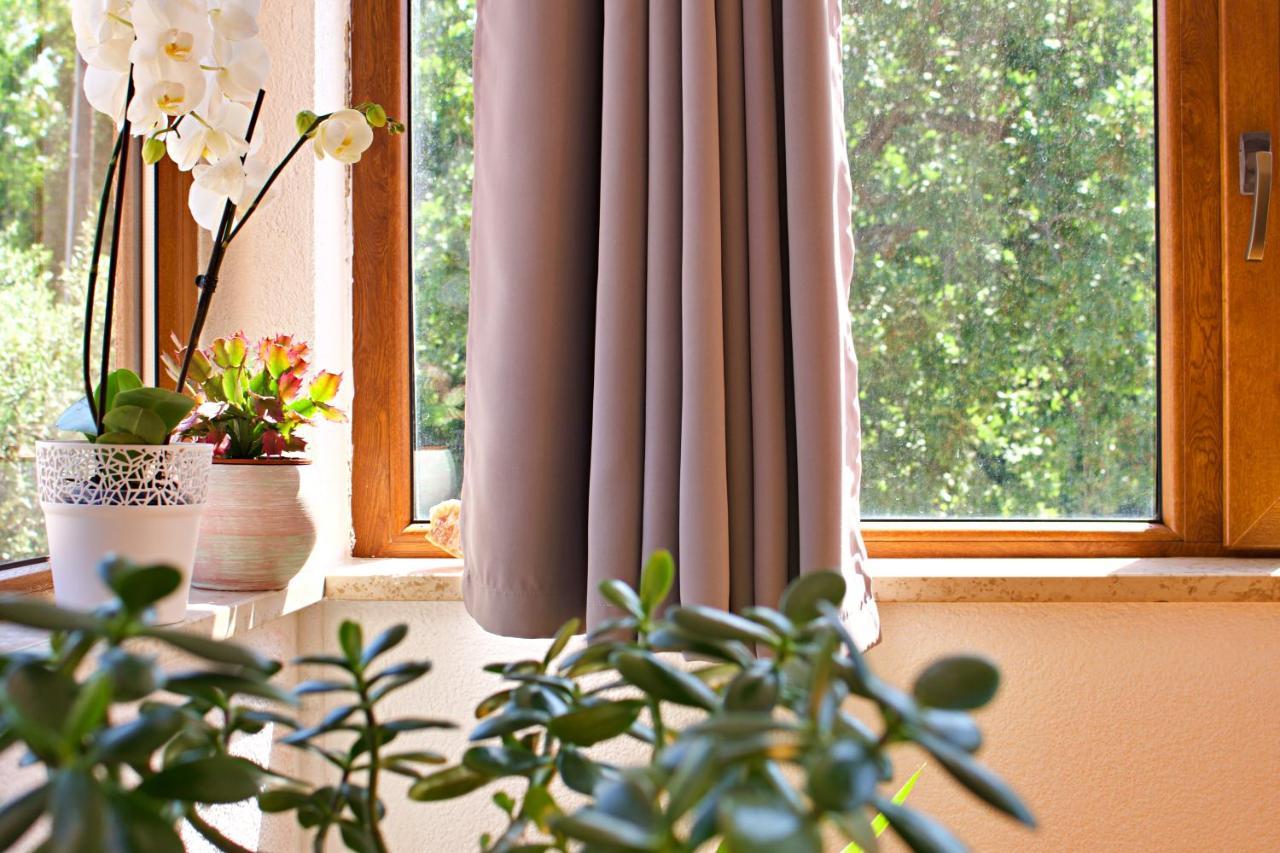 Apartment Kanegra Umag